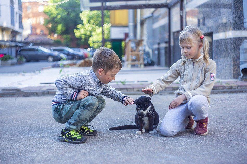 Szorstka przyjaźń dzieci i zwierząt